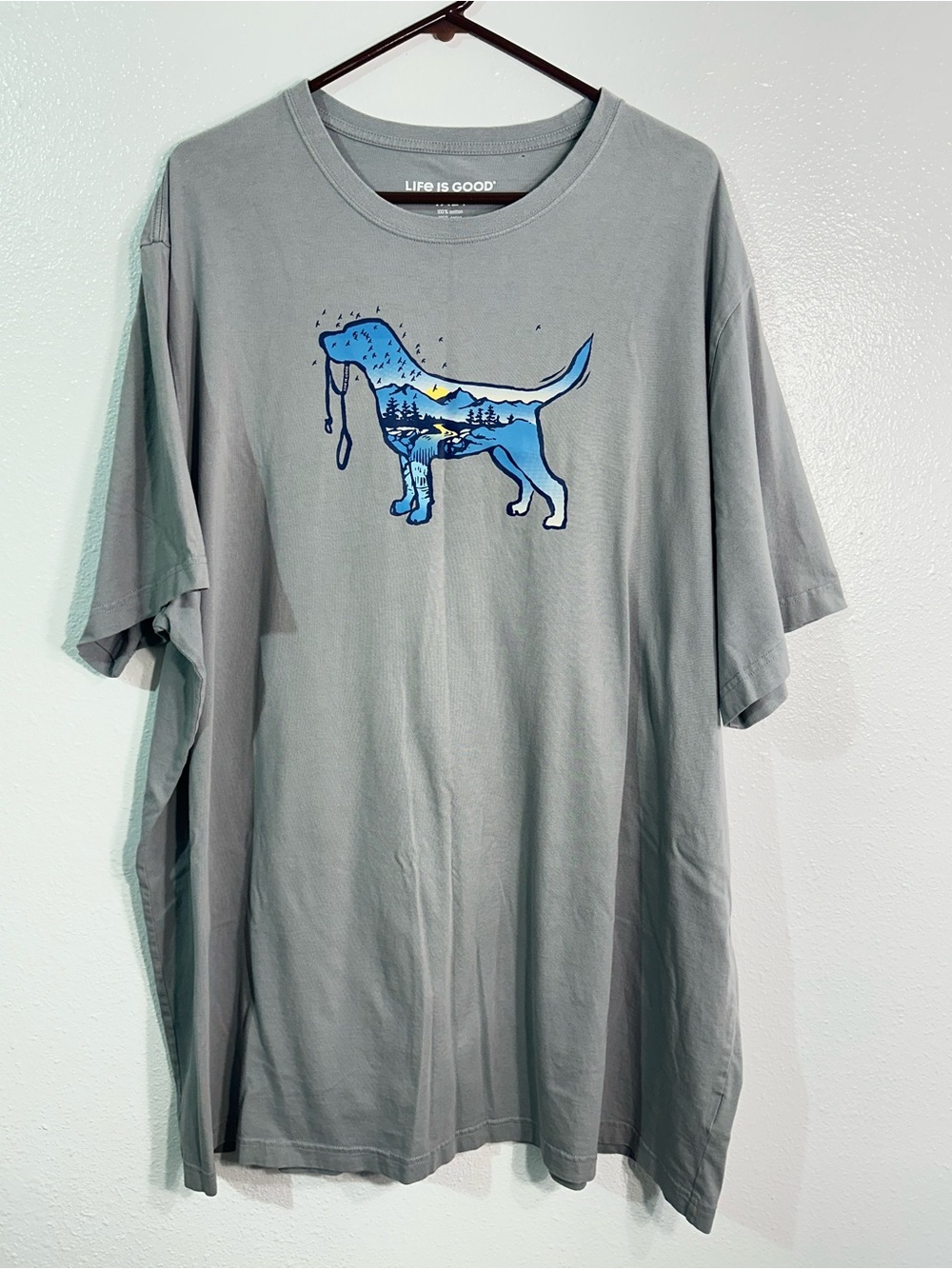 Life is Good Mens 4XLT Dog Hiking Outdoor Graphic T Shirt Gray Labrador Hiking